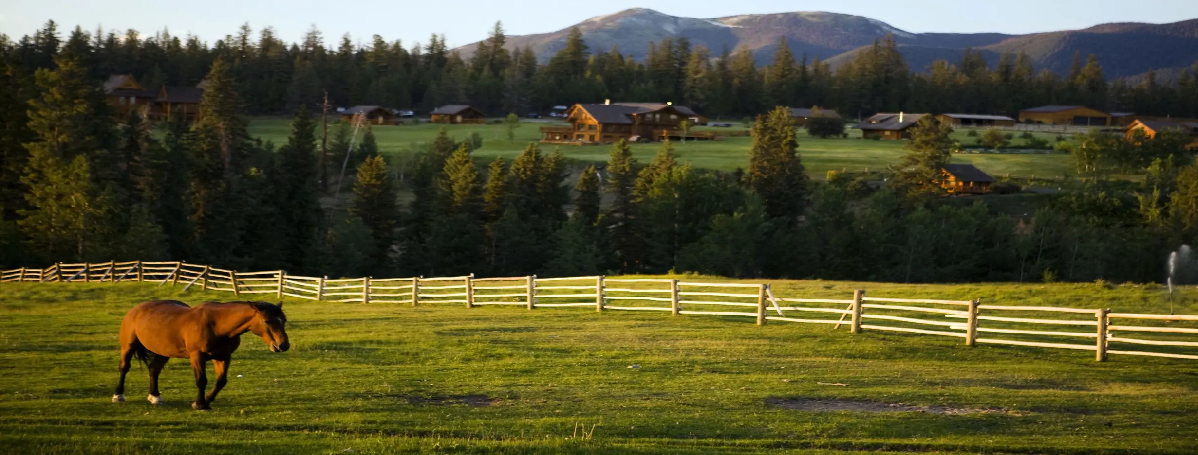 Image for Nazinga Game Ranch